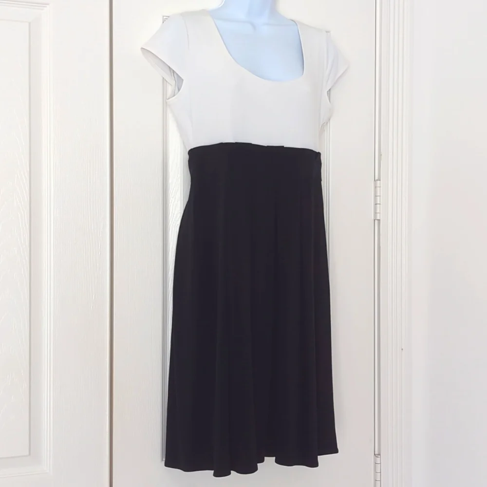 Van Heusen Black and White dress